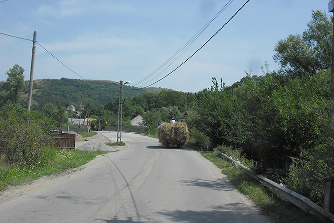 prova