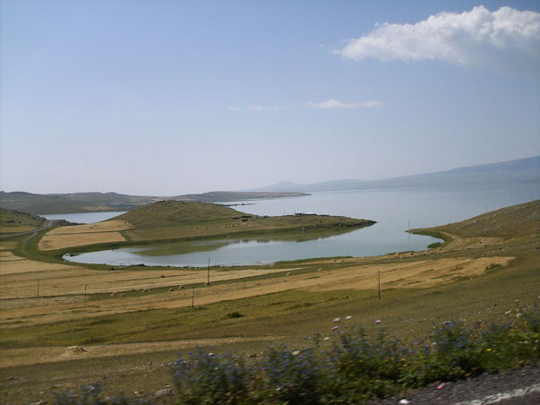 Turchia