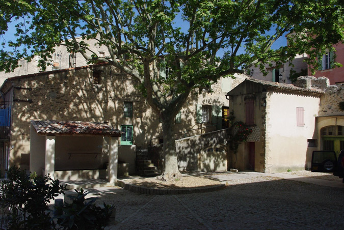 Vaucluse