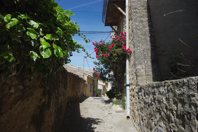 Vaucluse