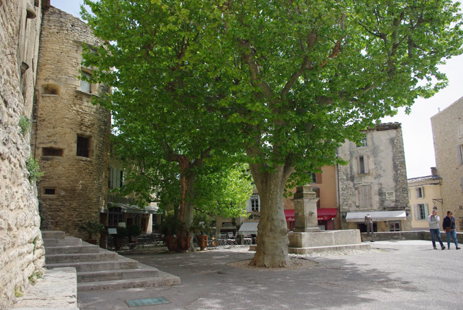 Vaucluse